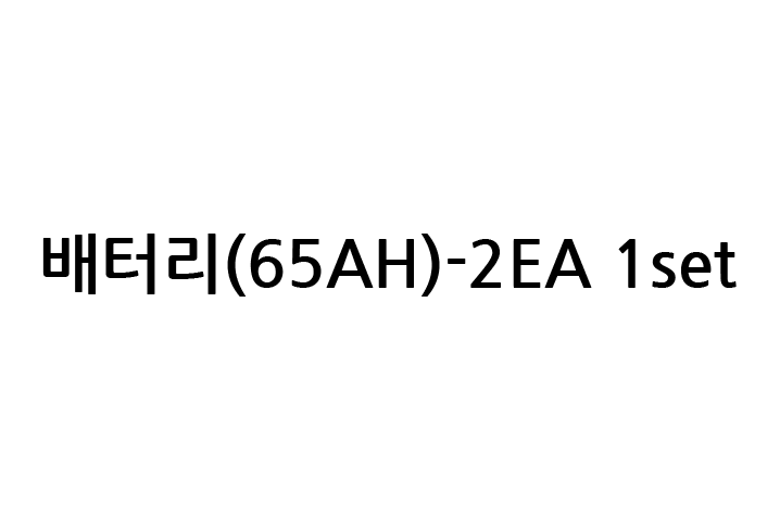 배터리(65AH)-2EA 1set